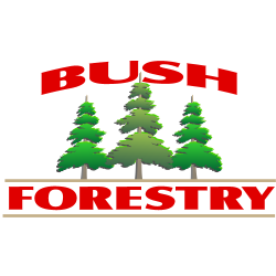 Bush Forestry